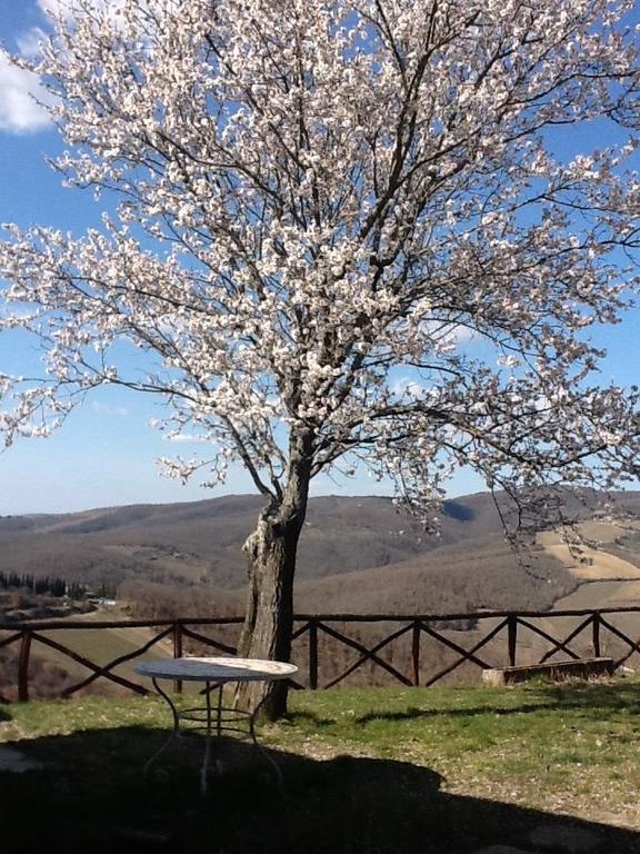 Camere E Appartamenti Baldini Romanita Radda in Chianti Zewnętrze zdjęcie